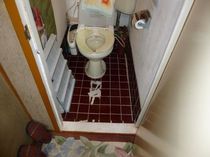 Before画像