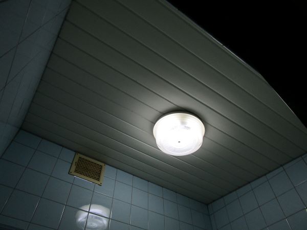 Before画像