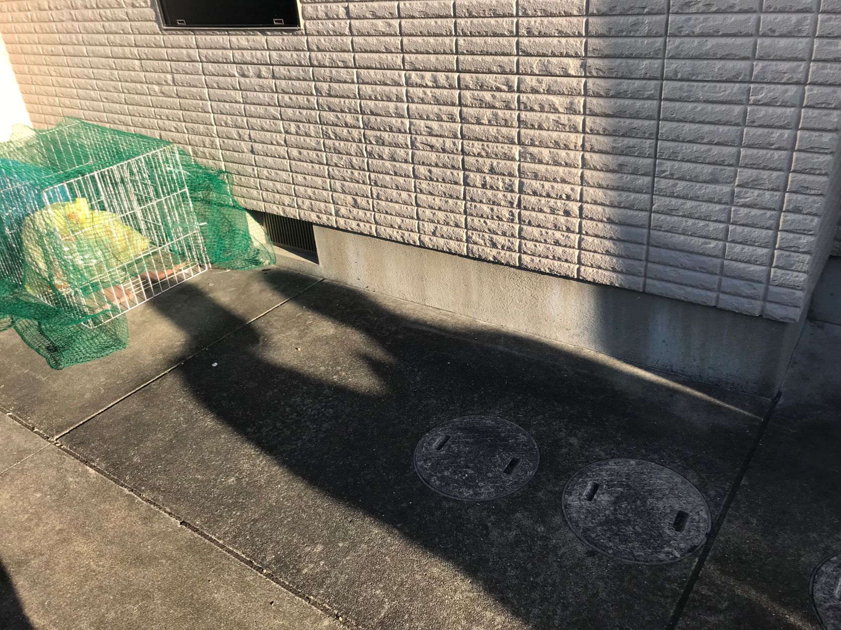 Before画像