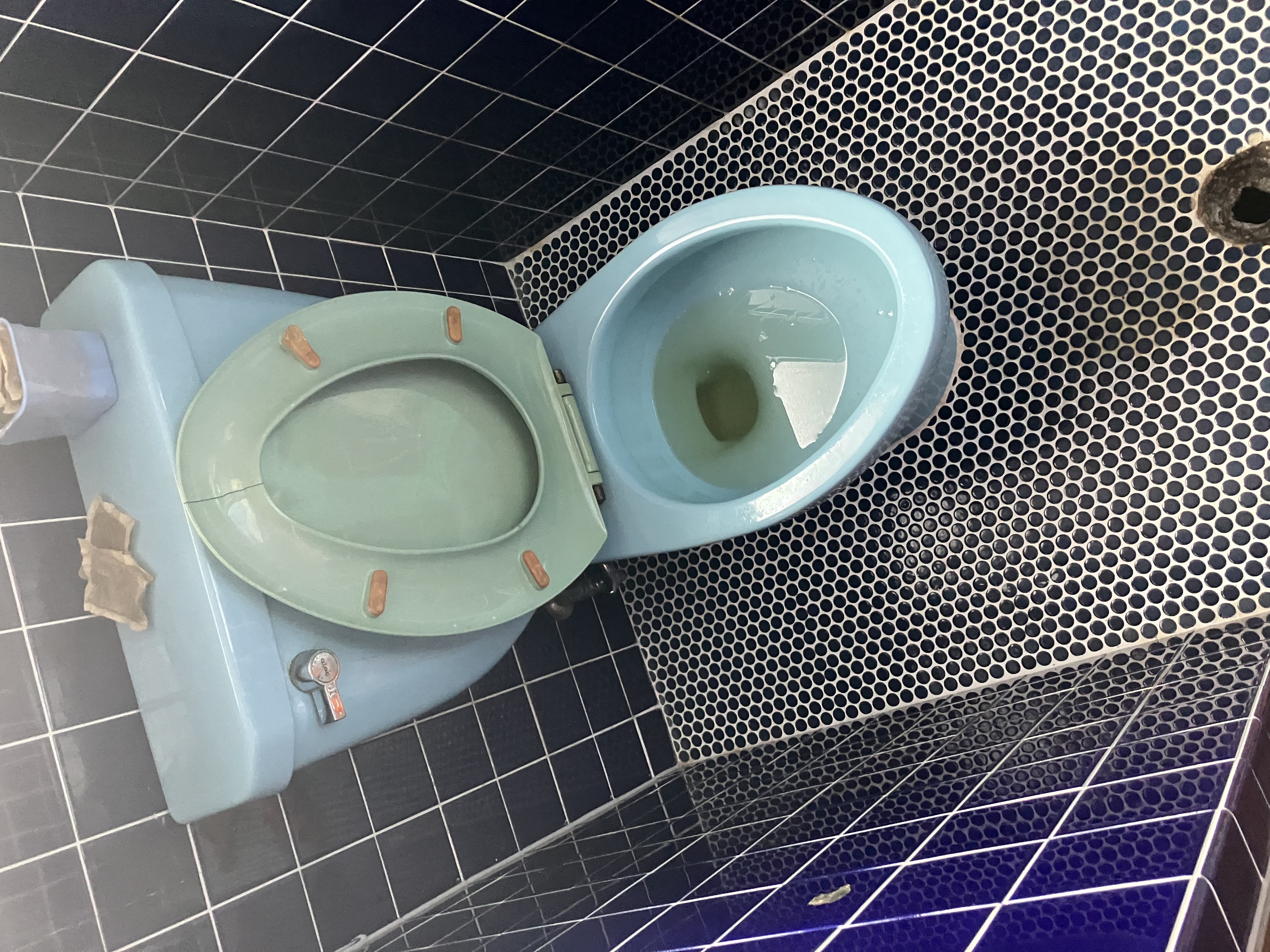 Before画像